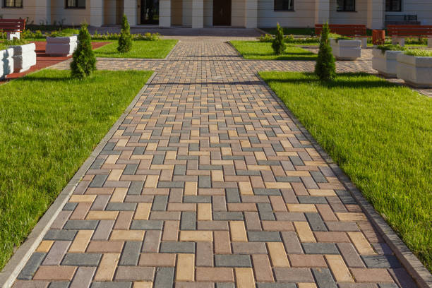 Reasons to Select Us for Your Driveway Paving Requirements in Tremont, PA